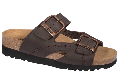 Scholl Moldova WG Brown